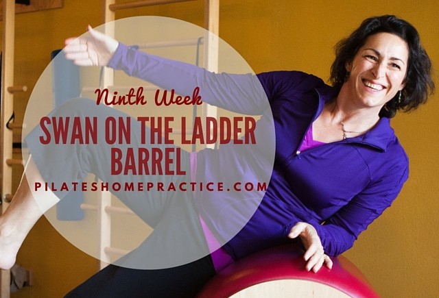 Ninth Week – Swan on the Ladder Barrel