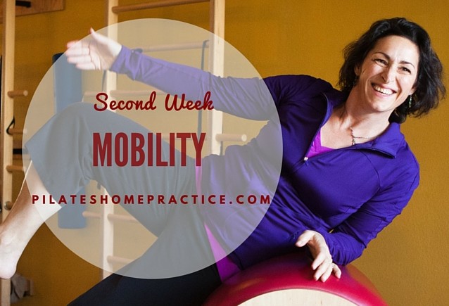 Second Week of the Challenge – Mobility